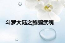 斗罗大陆之鲲鹏武魂