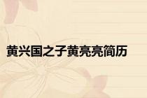 黄兴国之子黄亮亮简历