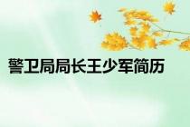 警卫局局长王少军简历