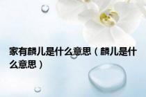家有麟儿是什么意思（麟儿是什么意思）