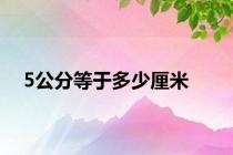 5公分等于多少厘米