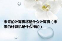 未来的计算机将是什么计算机（未来的计算机是什么样的）