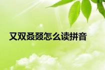 又双叒叕怎么读拼音