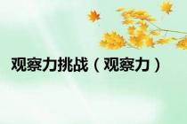 观察力挑战（观察力）