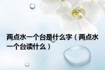 两点水一个台是什么字（两点水一个台读什么）