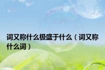 词又称什么极盛于什么（词又称什么词）
