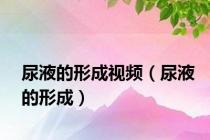 尿液的形成视频（尿液的形成）