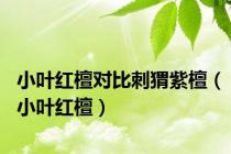 小叶红檀对比刺猬紫檀（小叶红檀）