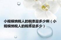 小规模纳税人的税率是多少啊（小规模纳税人的税率是多少）