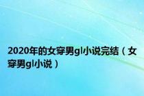 2020年的女穿男gl小说完结（女穿男gl小说）