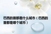 巴西的首都是什么城市（巴西的首都是哪个城市）