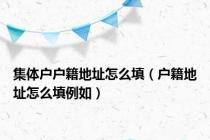 集体户户籍地址怎么填（户籍地址怎么填例如）