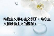 唯物主义唯心主义例子（唯心主义和唯物主义的区别）