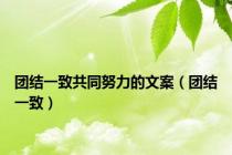 团结一致共同努力的文案（团结一致）