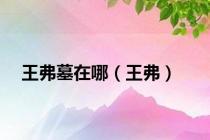 王弗墓在哪（王弗）
