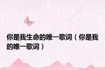 你是我生命的唯一歌词（你是我的唯一歌词）
