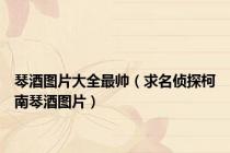 琴酒图片大全最帅（求名侦探柯南琴酒图片）