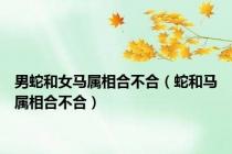 男蛇和女马属相合不合（蛇和马属相合不合）