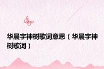 华晨宇神树歌词意思（华晨宇神树歌词）
