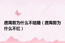 唐禹哲为什么不结婚（唐禹哲为什么不红）