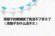 黑瞎子的眼睛瞎了就活不了多久了（黑瞎子为什么活不久）