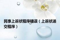 民事上诉状程序错误（上诉状递交程序）