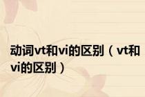 动词vt和vi的区别（vt和vi的区别）