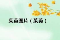 茱萸图片（茱萸）
