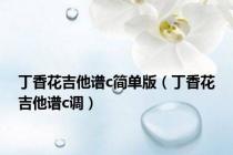 丁香花吉他谱c简单版（丁香花吉他谱c调）