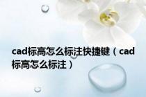 cad标高怎么标注快捷键（cad标高怎么标注）