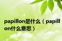 papillon是什么（papillon什么意思）