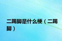 二踢脚是什么梗（二踢脚）