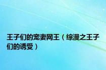 王子们的宠妻网王（综漫之王子们的诱受）
