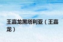 王嘉龙黑塔利亚（王嘉龙）