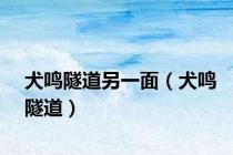 犬鸣隧道另一面（犬鸣隧道）