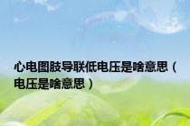 心电图肢导联低电压是啥意思（电压是啥意思）