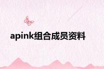 apink组合成员资料