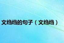 文绉绉的句子（文绉绉）