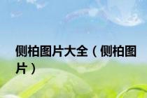 侧柏图片大全（侧柏图片）
