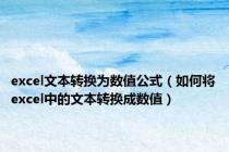 excel文本转换为数值公式（如何将excel中的文本转换成数值）