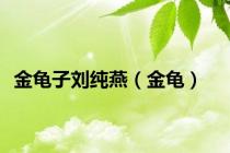 金龟子刘纯燕（金龟）