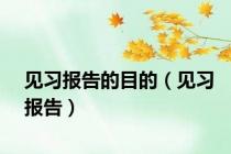 见习报告的目的（见习报告）