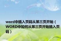 word中插入页码从第三页开始（WORD中如何从第三页开始插入页码）