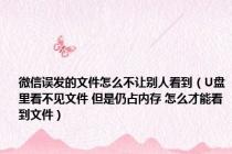 微信误发的文件怎么不让别人看到（U盘里看不见文件 但是仍占内存 怎么才能看到文件）