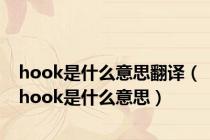 hook是什么意思翻译（hook是什么意思）