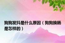 狗狗发抖是什么原因（狗狗换肠是怎样的）