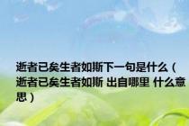 逝者已矣生者如斯下一句是什么（逝者已矣生者如斯 出自哪里 什么意思）