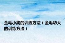 金毛小狗的训练方法（金毛幼犬的训练方法）