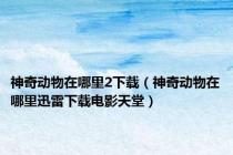 神奇动物在哪里2下载（神奇动物在哪里迅雷下载电影天堂）