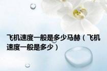 飞机速度一般是多少马赫（飞机速度一般是多少）
